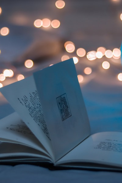 古装仙侠剧《长风渡》高清海报